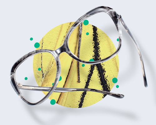 3 Top Eyewear Trends: Butterfly, Pastels, and Tortoise Shell Frames